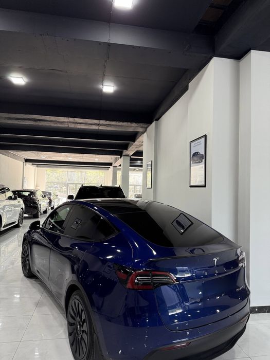 Tesla Model Y Performance dual mator