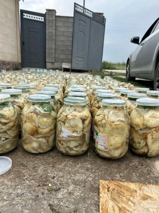 Саленый гриби , 2 л банка