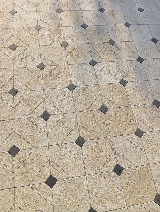 Bruschatka va sokol xizmati