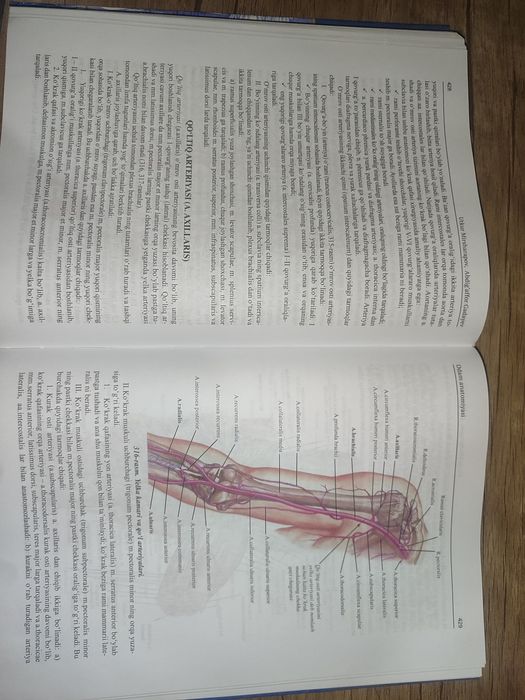 Odam anatomiyasi Gadayev 3qism bittada