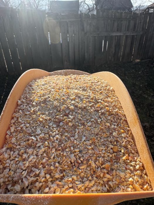 Porumb măcinat mai grosier