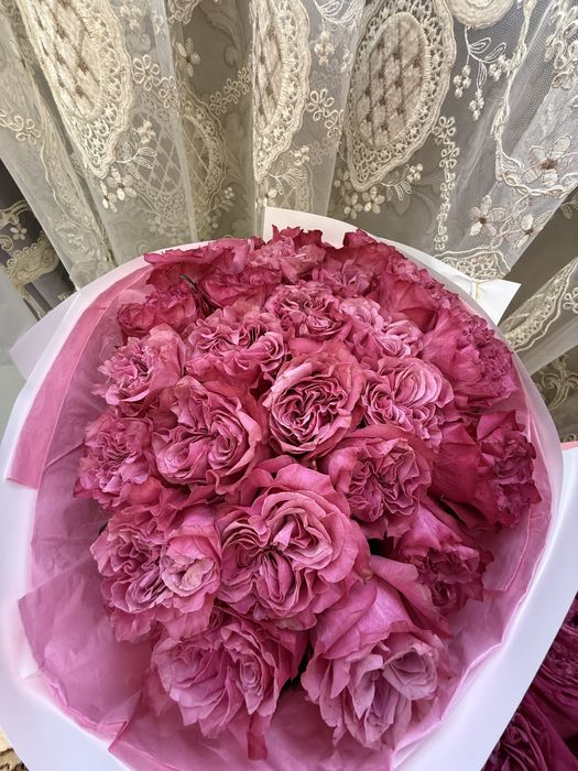 продам цветы от 3000до 7000 тыс