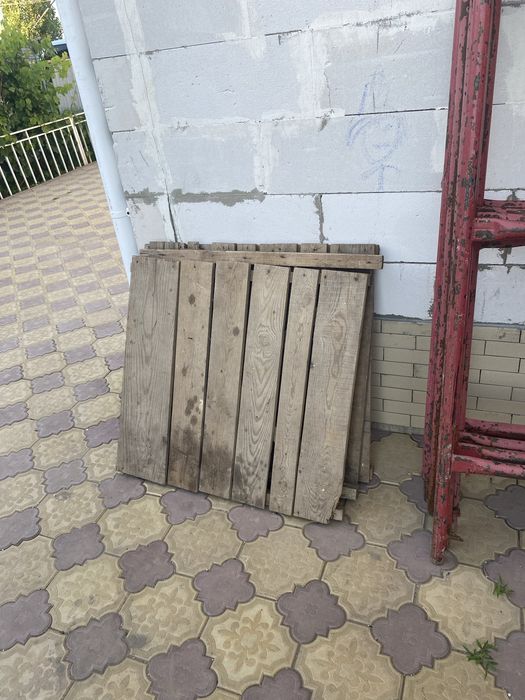 Сдам в аренду леса 5 пар с трапом