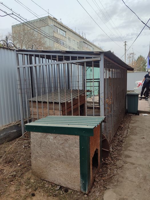 вальер для собак  в хорошем состояний