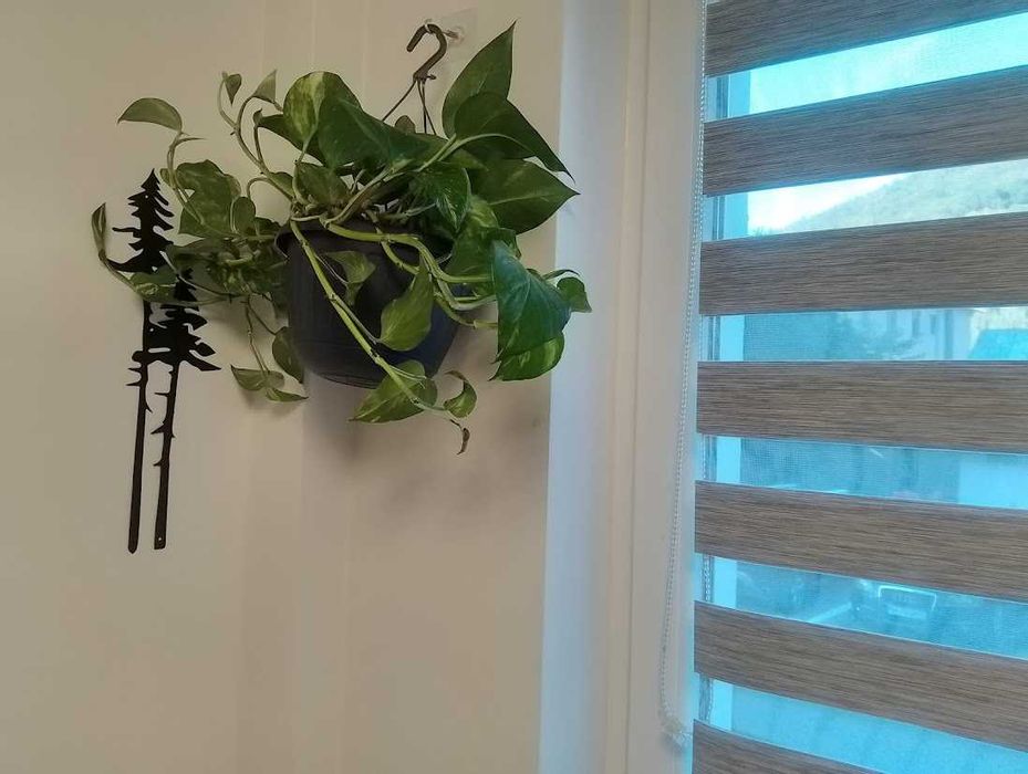 1Small studio, central, Sinaia, selfcheckin /pret redus de extrasezon