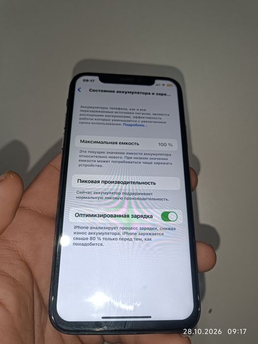 iphone x  64/100