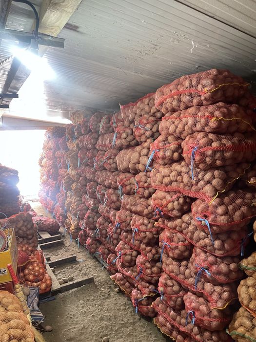 Vand cartofi samanta si consum