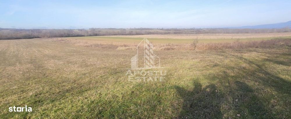 TEREN AGRICOL 1,524 HA, LA DOAR 10.000€ Comision Zero %