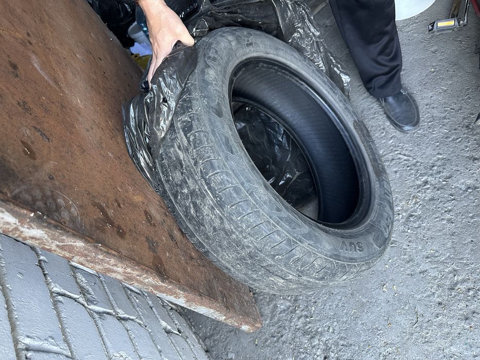 продам 4 летних баллона