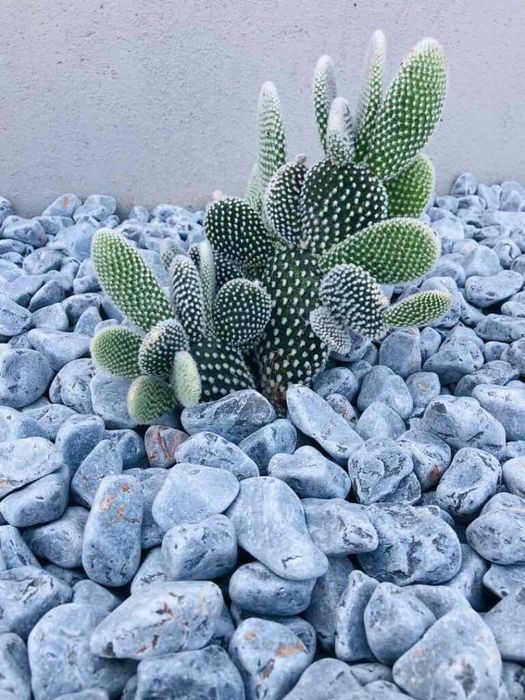 Marmura decorativa Depozit langa Vama Craiova