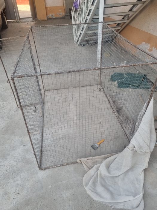 Tovuq katak sotiladi