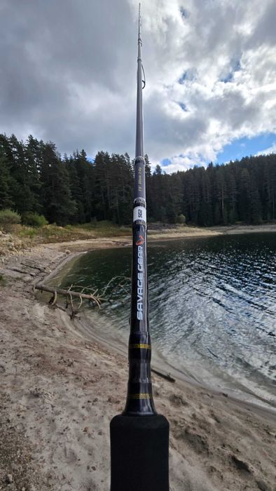 Спининг въдица savage gear sg2