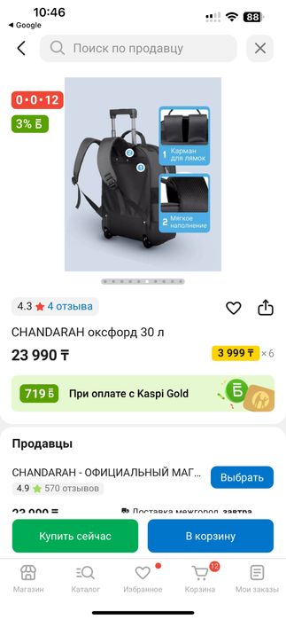 Рюкзак на колесах