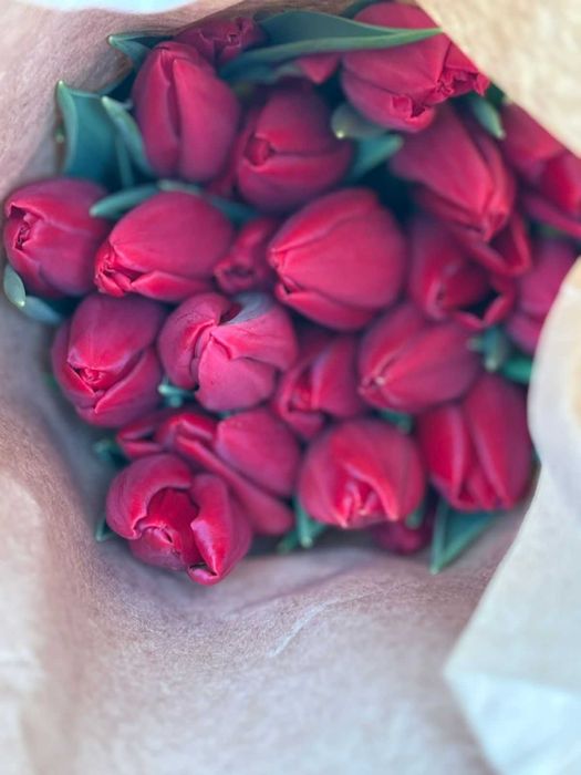 Тюльпаны оптом и в розницу