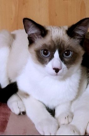 Костанай. Граф и Рыжик