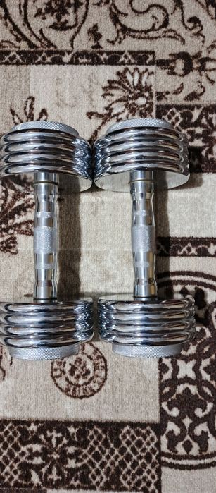 Гантели разборные