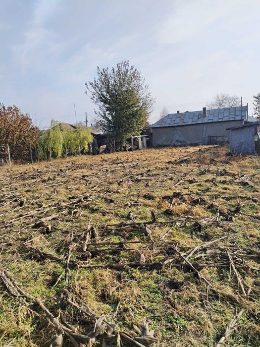 Casă in localitatea  Jijila