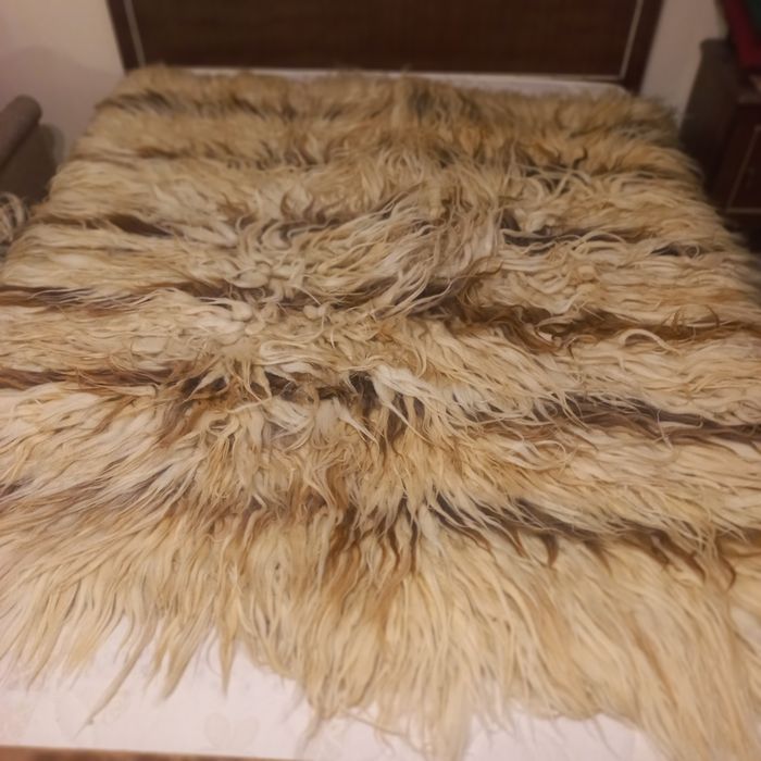 Козяци. халища.китеници