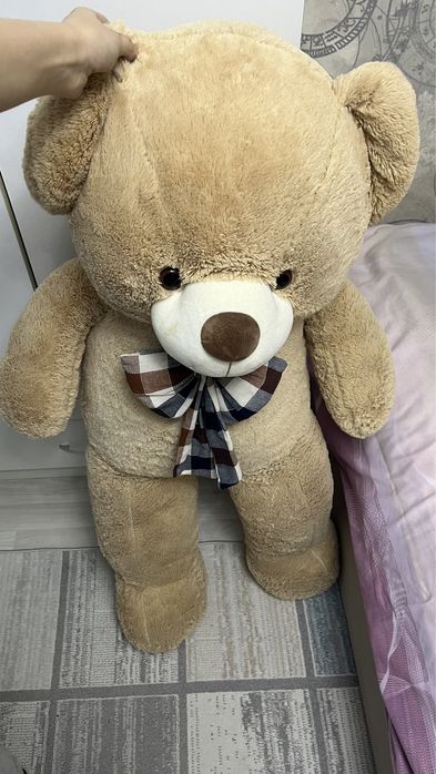 срочно продам мишку