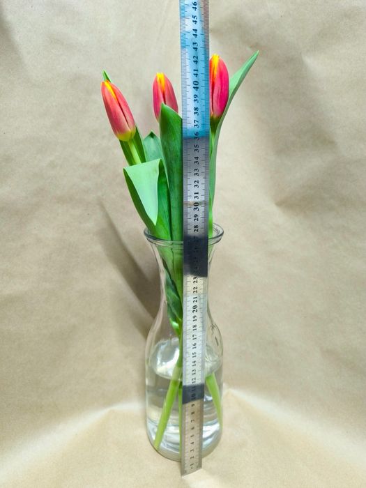 Продам тюльпаны!!!