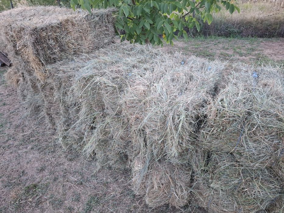 Baloti dreptunghiulari otava de livadă