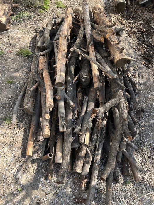 Бревна бесплатно