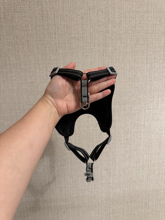 шлейка для кота или маленькой собаки