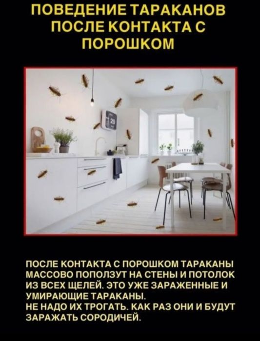 Тиурам кабельный порошок средство от тараканов  клопов крыс мышей