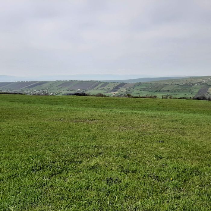 Teren in Fanatele Clujului zona deosebita cu panorama spre oras!