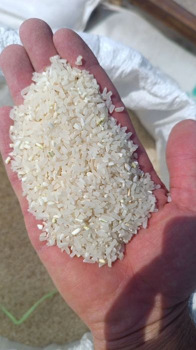 Guruch sechkasi top toza faqat abyomga