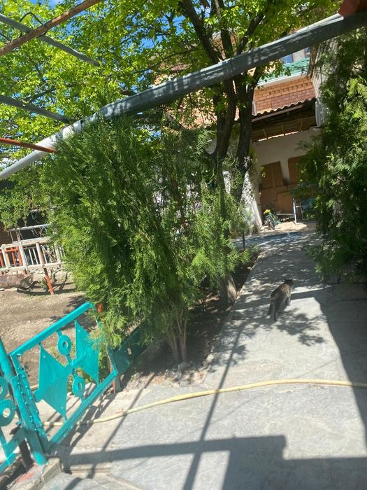 Дом Силикатный .