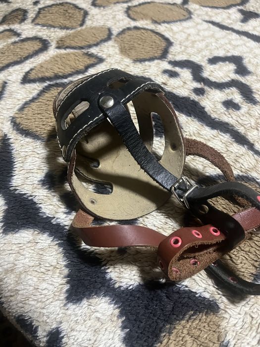 Намордник и поводок