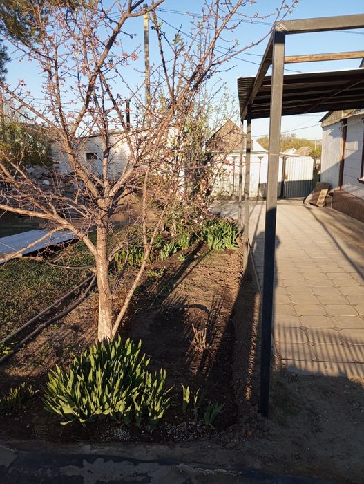 Срочно продам пол дома в центре города!