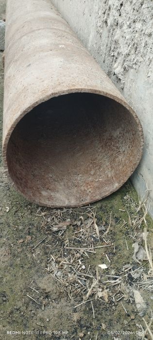 Temir turba rasiyski