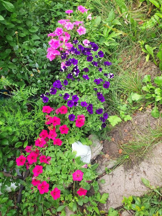 Продаю дачу в Михайловке, 12 соток