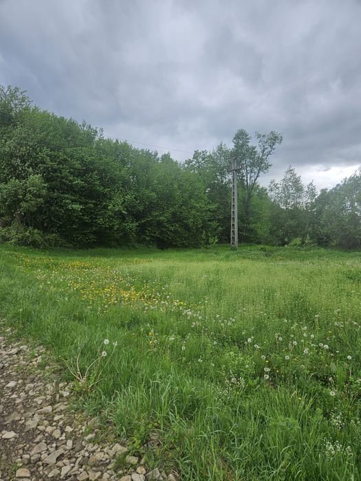Teren de vânzare Poiana Zgurii, Rodna