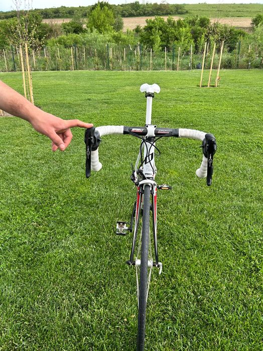 Cursieră Olympia Speedy Race AL7005DB, Campagnolo Veloce, Carbon, 54