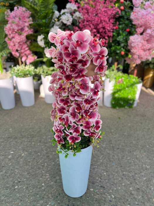 Декоративные деревья — для гостиной и кухни