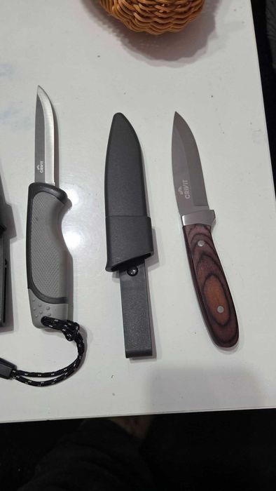 Lot de 5 cutite deosebite