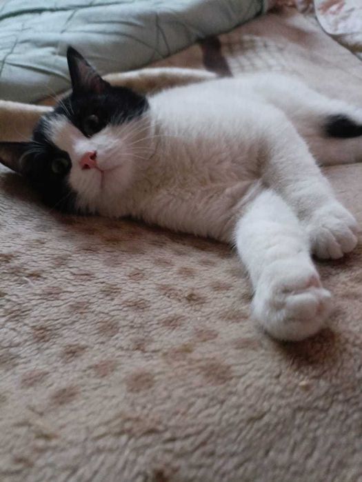 В самые ответственные руки