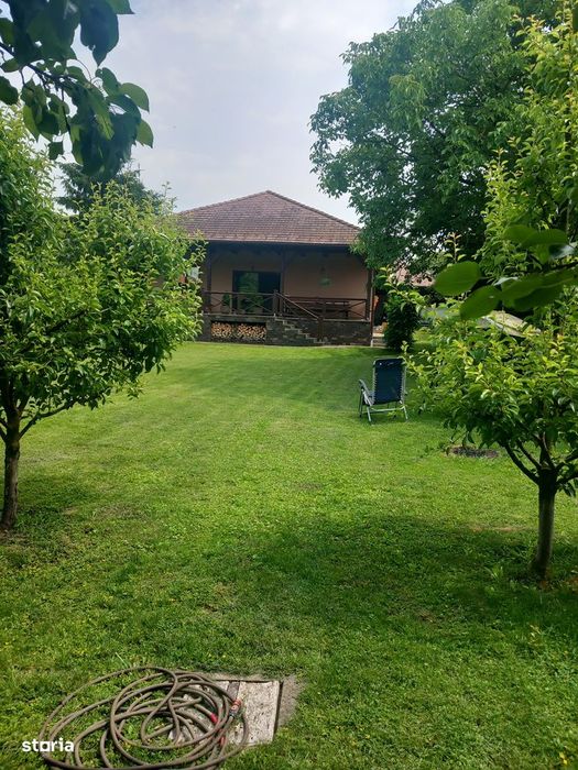 Proprietate cu 2 case, garaj și spațiu comercial, 1260 mp,Sangiorgiu