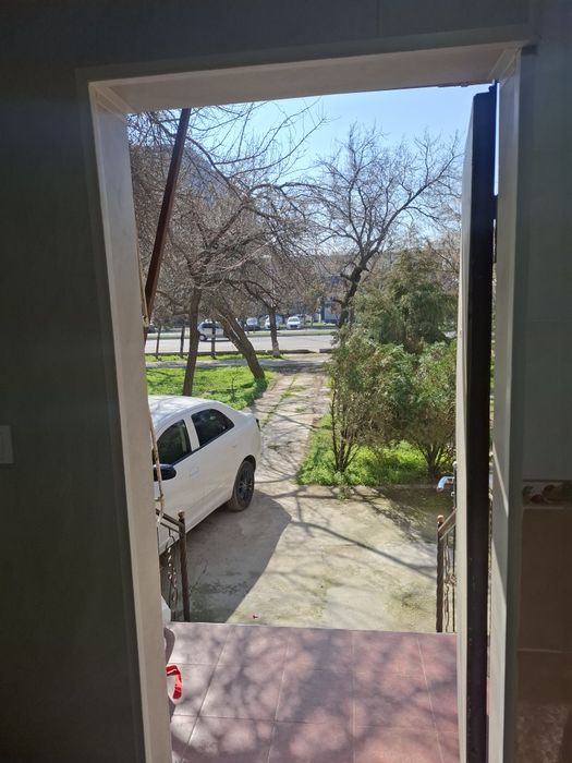 Olozor tumani qoraqamish 1/4 moshina yoli yuzida  3/1/4