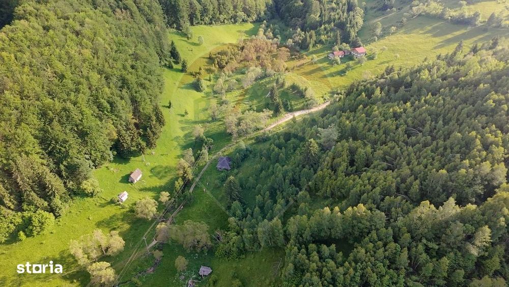 Teren 38,704mp Sirnea | 2.000 mp Intravilan | 36,704 Extravilan