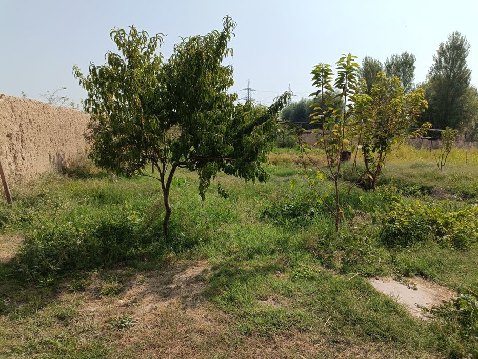 Кибрай тумани, Фаровон махалла, ТашГРЭС жилой ер, участка