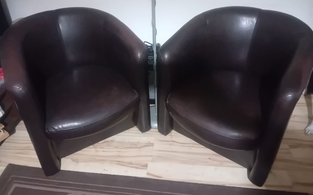 2 Fotolii piele eco