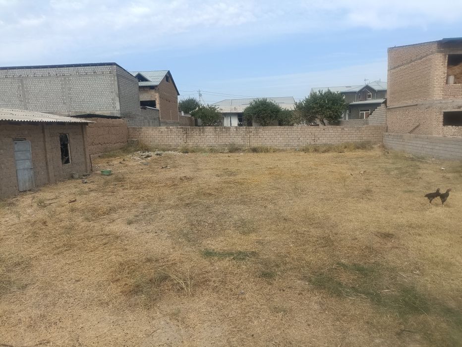 20/40 участка зангота тумани дамичида 1 балиқ хона ёнида