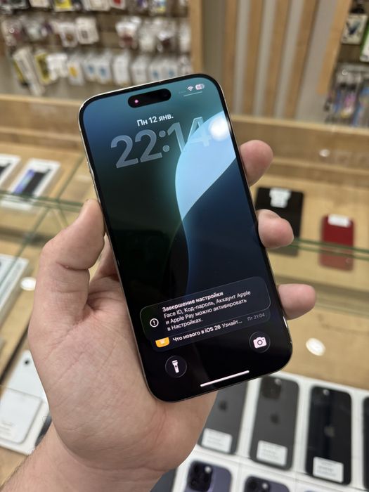 iPhone 15 Pro Natural Titanium 256GB 81%