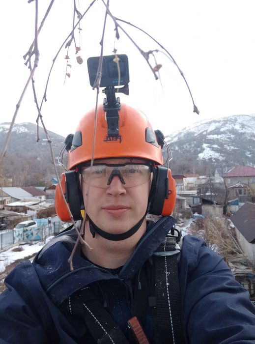 Расчистка участка , валка, спил