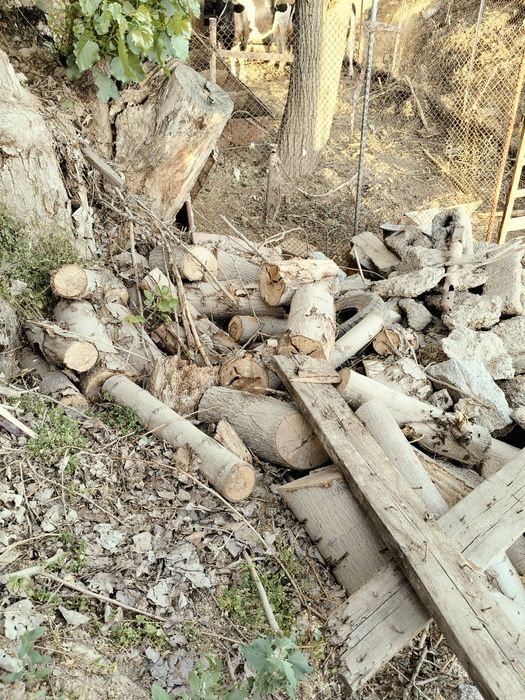 Firewoods o'tin дрова
