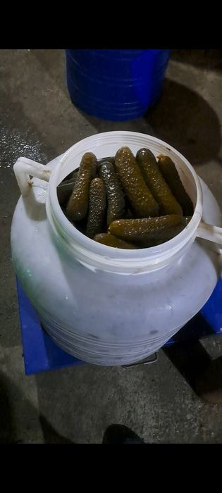 Vand castraveți murați